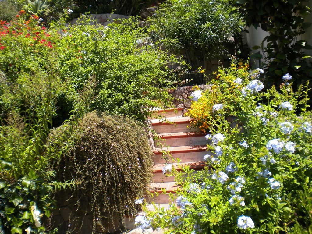 Appartement Casa U' Cucunciu à Lipari  Chambre photo